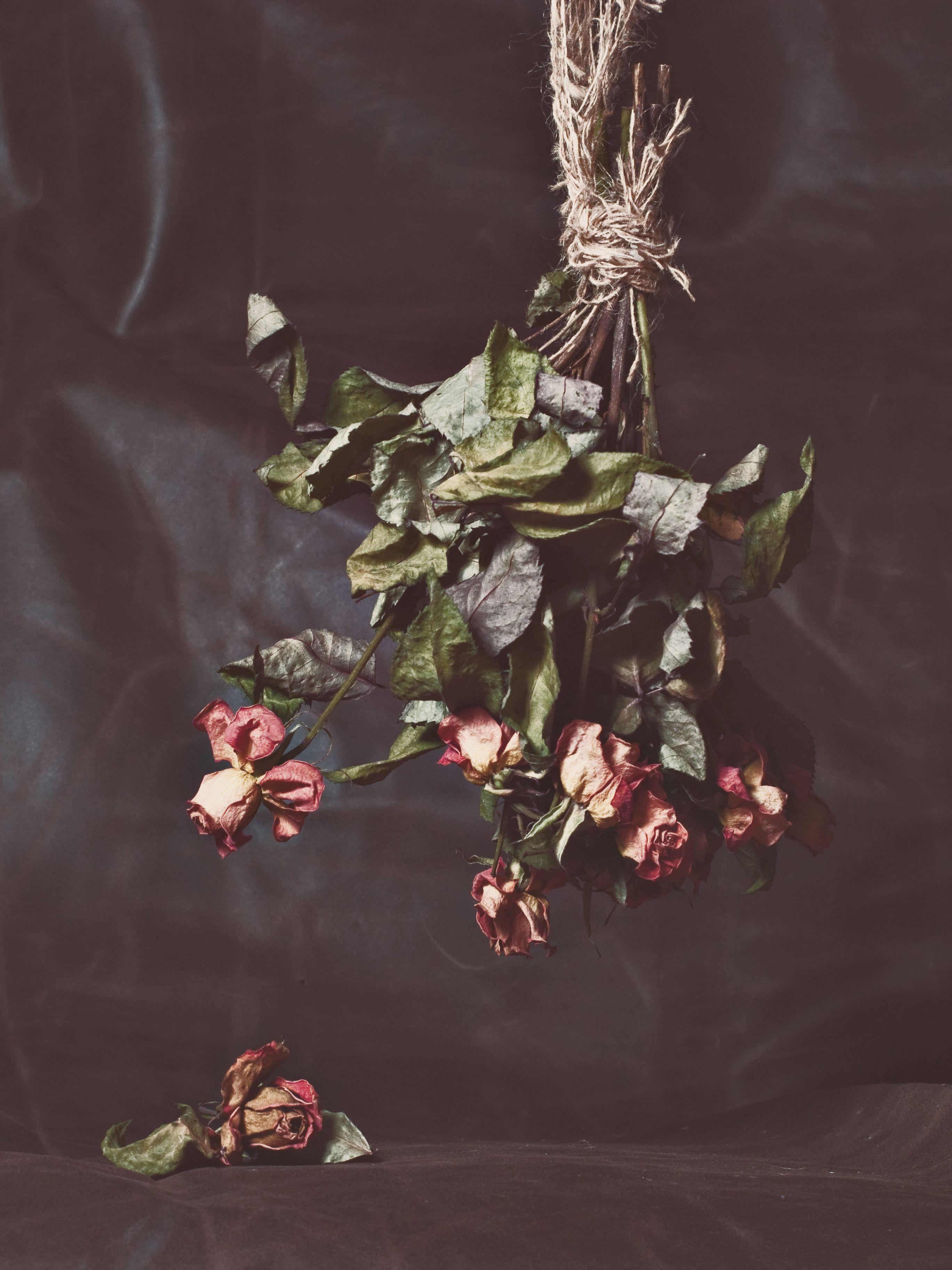 Sandra Platas Hernandez Color Photograph – Rosas Colgantes, Fotografie, C-Typ