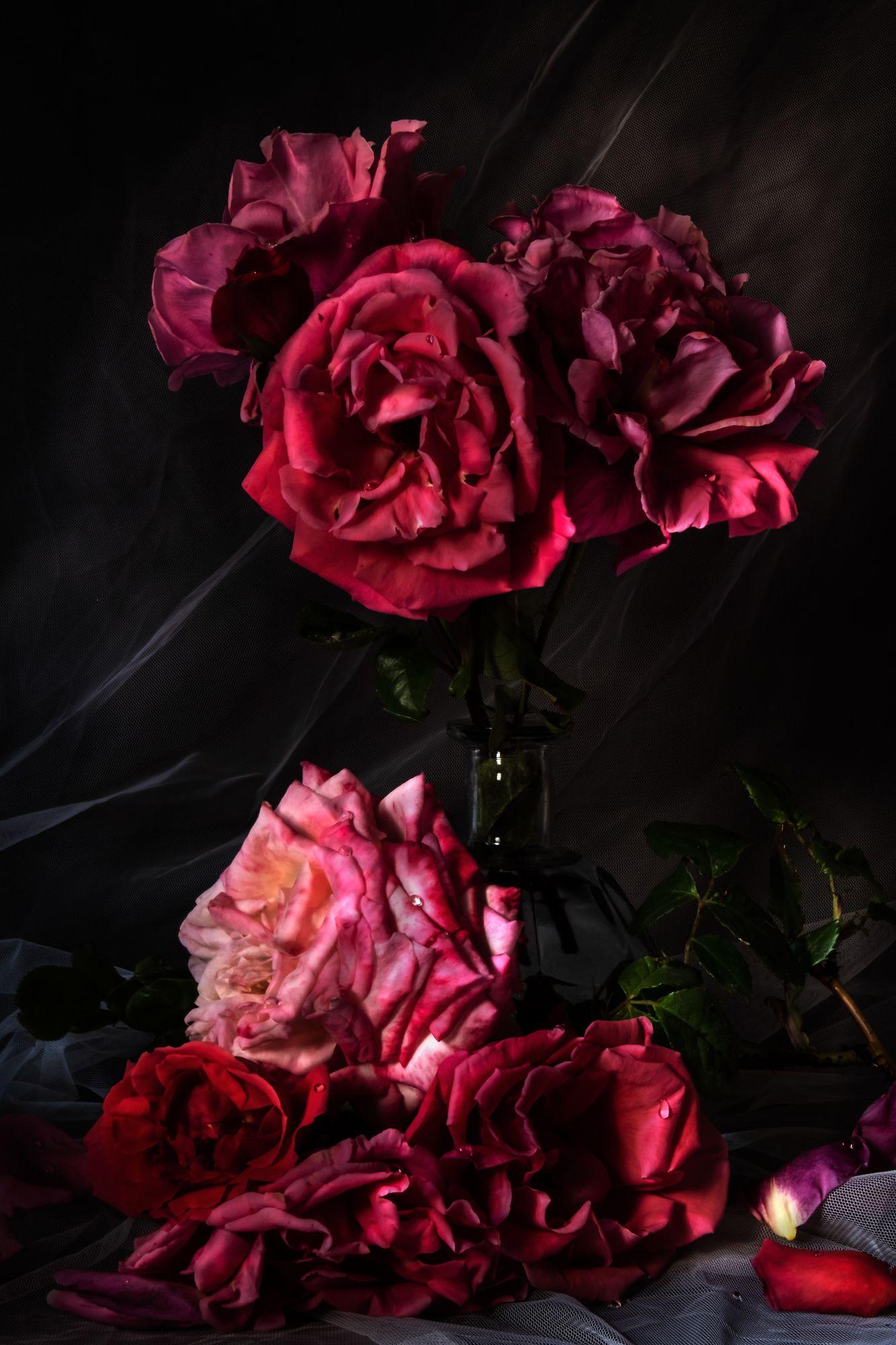 Sandra Platas Hernandez Color Photograph - Roses, Photograph, C-Type