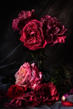 Roses, photographie, type C