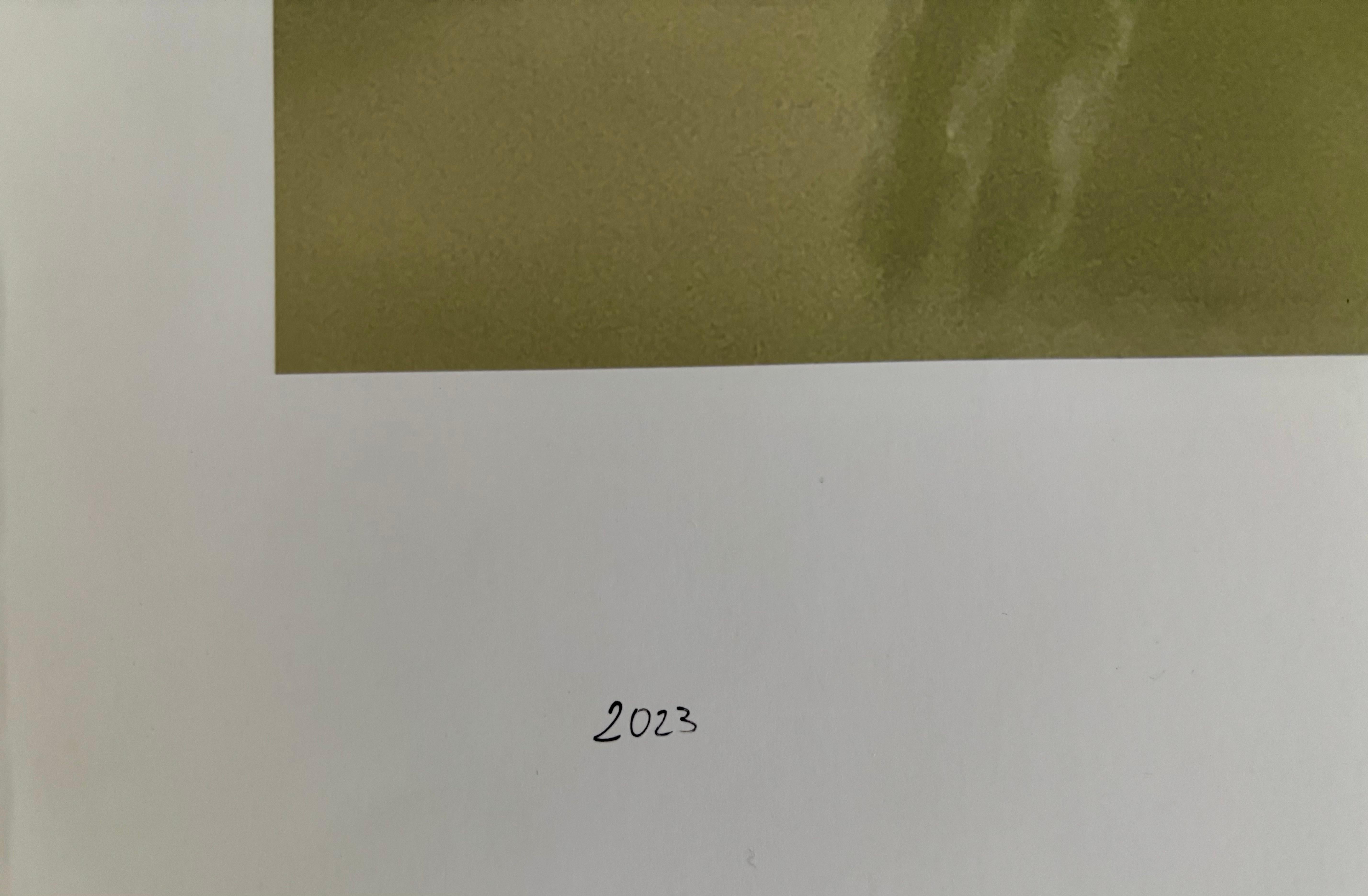 Hole 2 – Abstrakter, limitierter, signierter, Kunstdruck im Angebot 3
