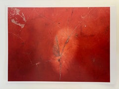 HOT Red Photography Signed limited