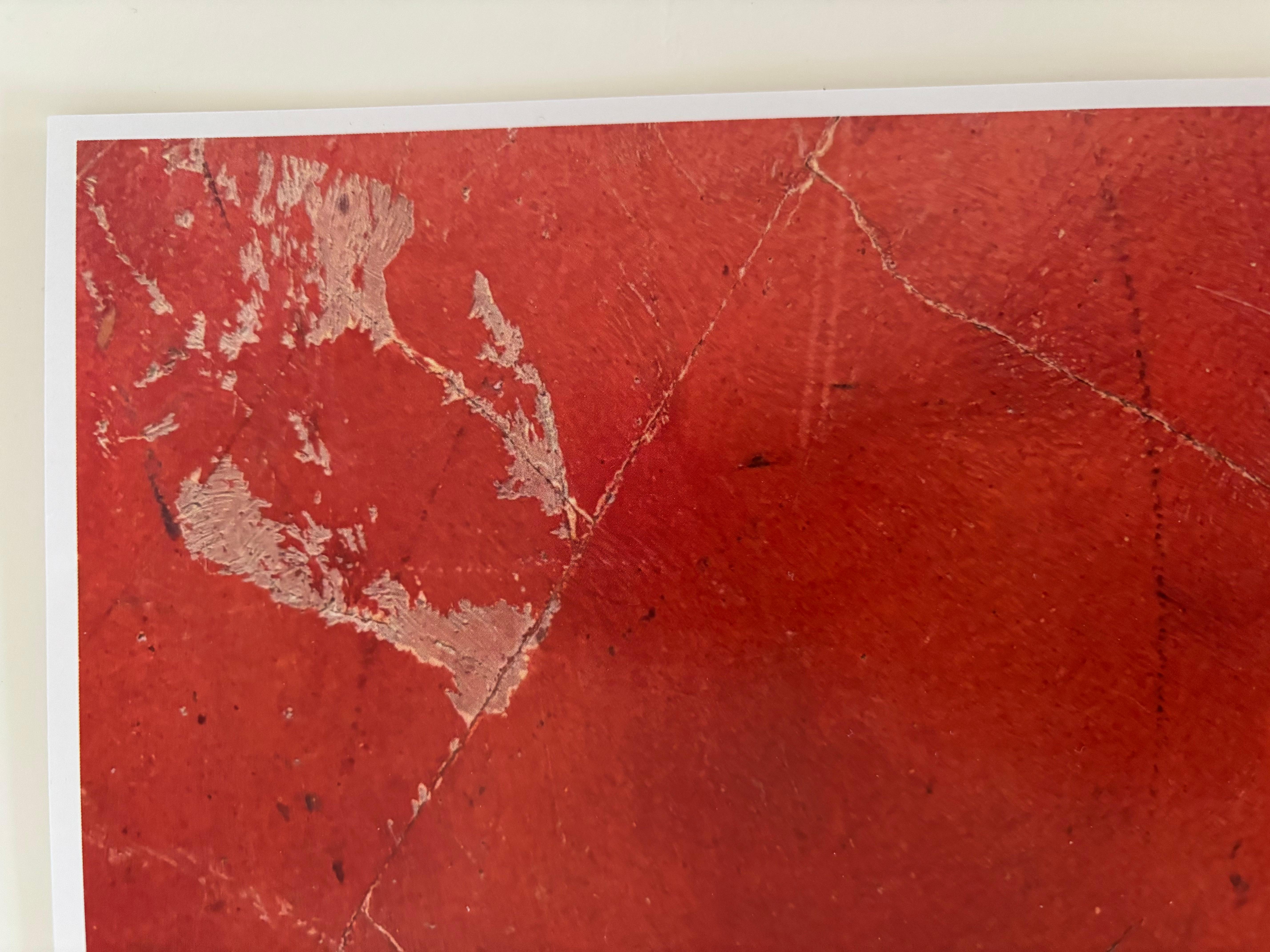 HOT Red Photography Signed limited en vente 1