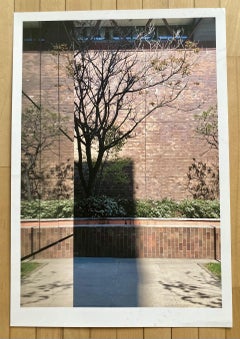 Just a Tree / Photography / Print / Signed / Limited