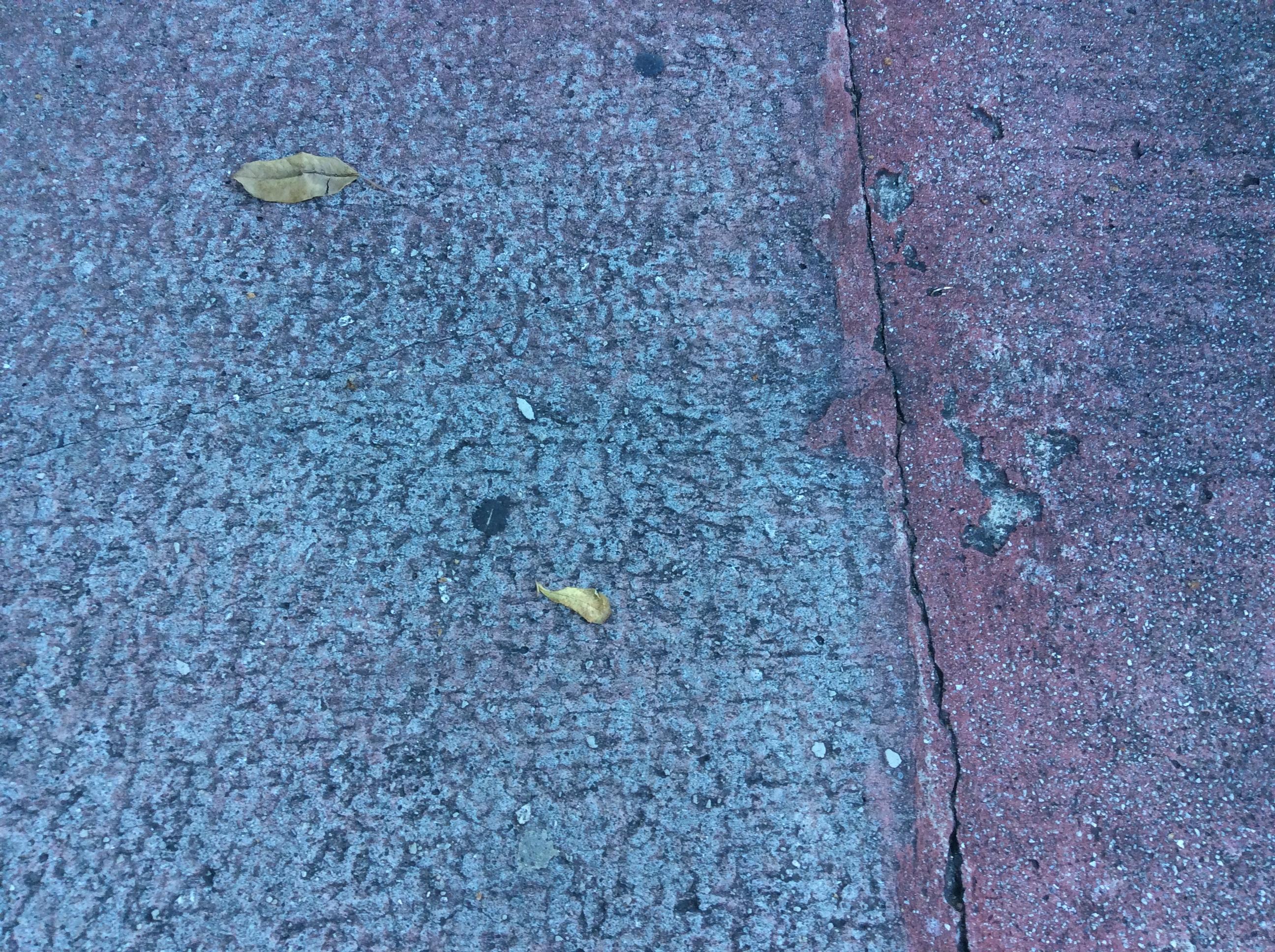 Abstract Photograph de Sandra Salamonová - Nostálgico  Fotografía Firmada