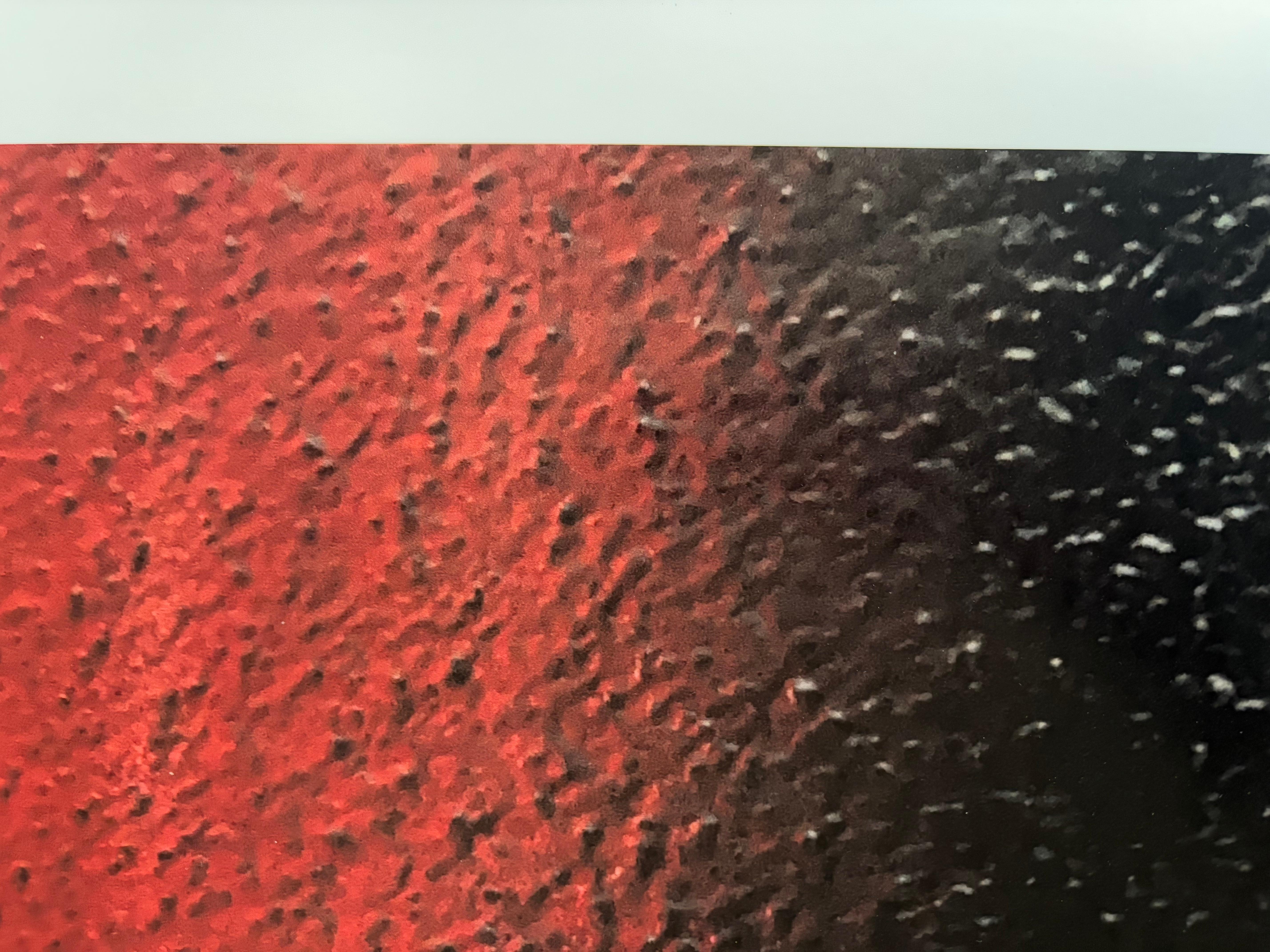 Rothko / NO  - Fotografía Limitada Firmada en venta 1