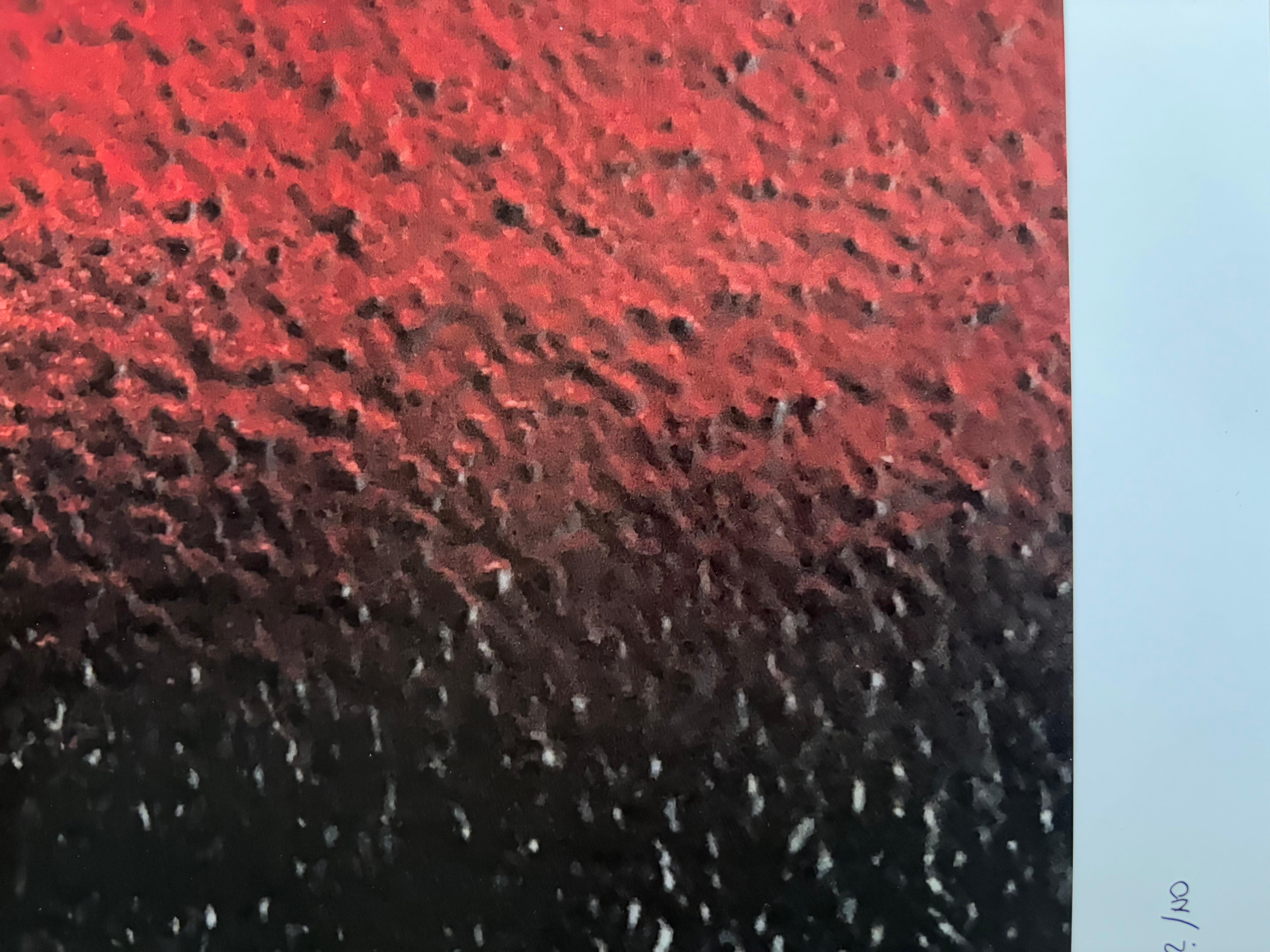 Rothko / NO  - Fotografía Limitada Firmada en venta 3