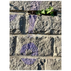 Green in Violet  Photography Print Limited Edition