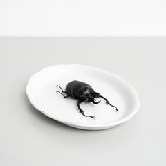 Sandro Figurative Sculpture: Ceramic & Taxidermy, Mid-Century Modern