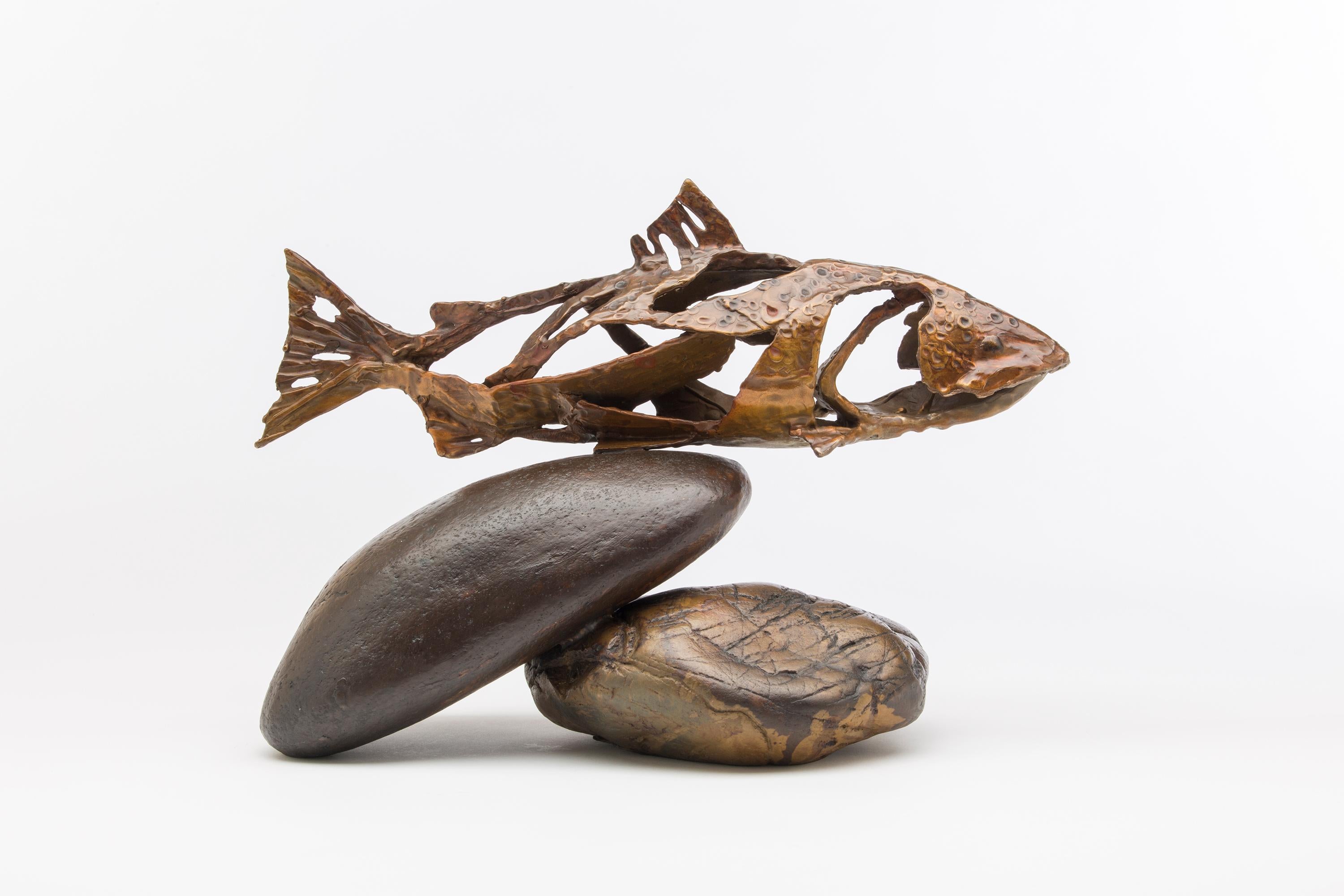 Partecipazione 26/30