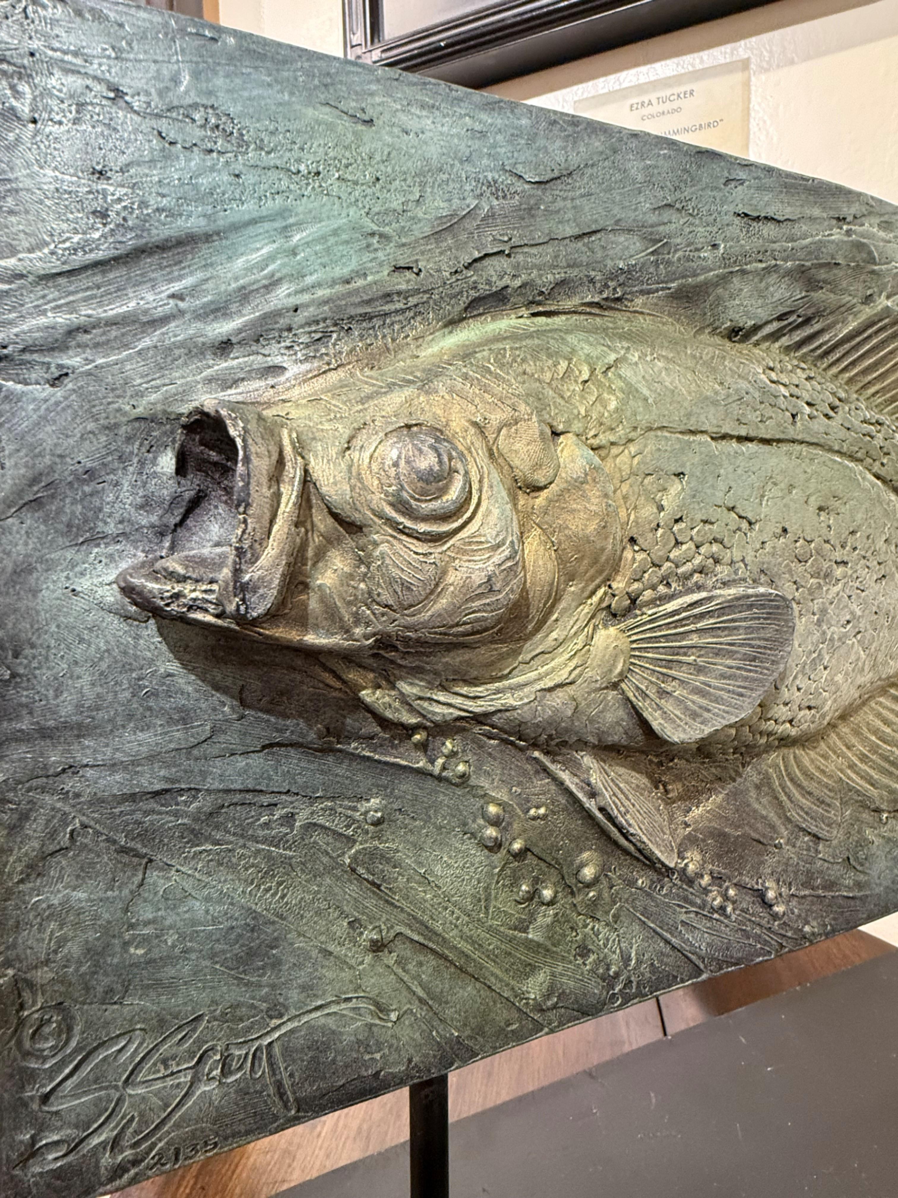 Crappie - Sculpture Realismo di Sandy Scott