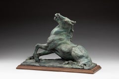 Equus Rising