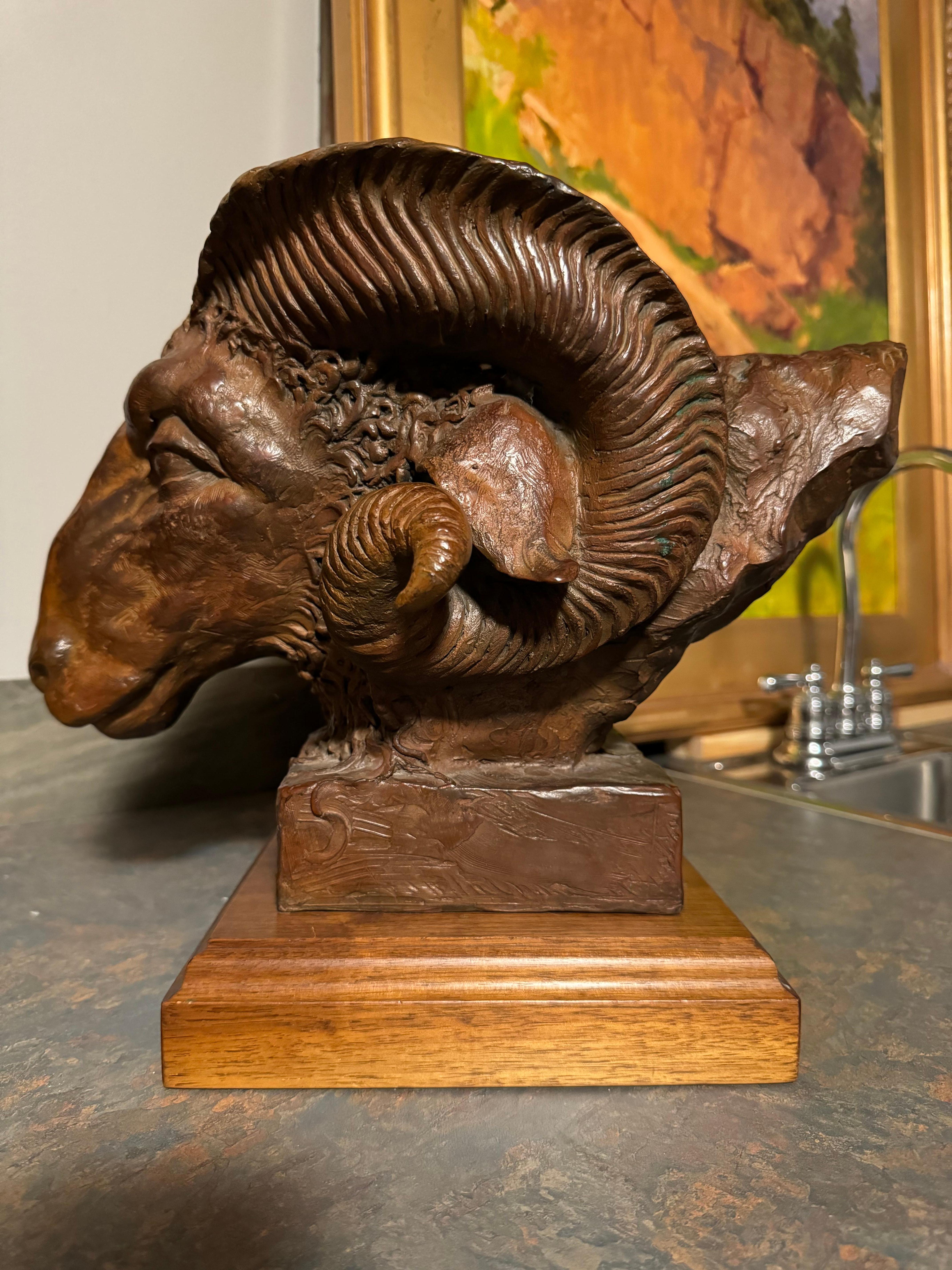 Carnero de Mendes por Sandy Scott
Escultura busto carnero / oveja de cuernos grandes de bronce silvestre
13x14x10