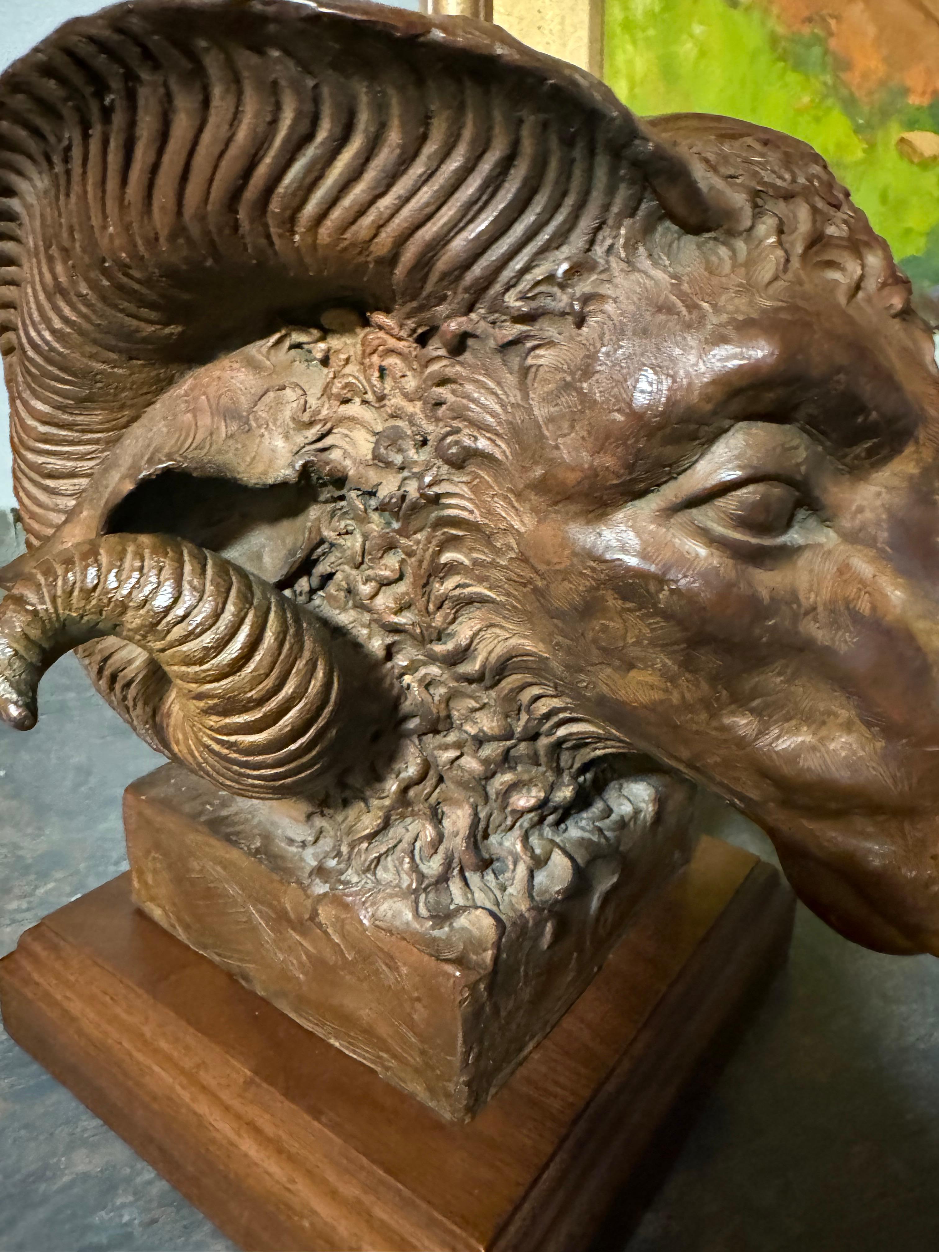 Carnero de Mendes en venta 3