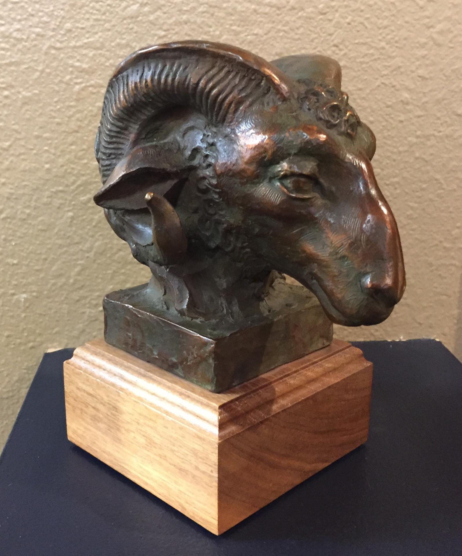 Sandy Scott Still-Life Sculpture - Ram's Head
