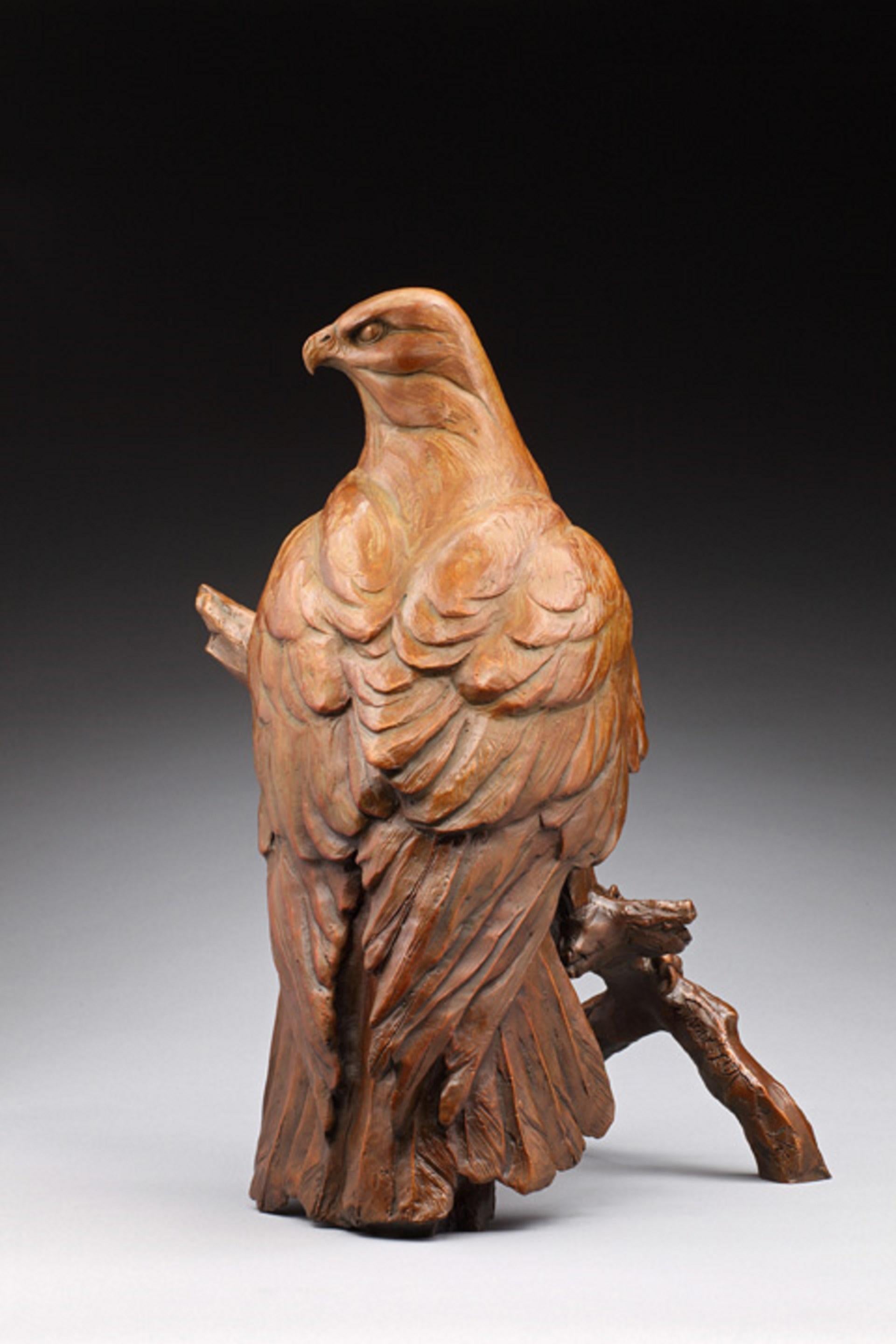 Red-Tailed Hawk Alert - Realist Sculpture by Sandy Scott