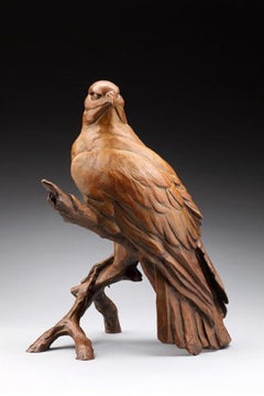 Red-Tailed Hawk Alert