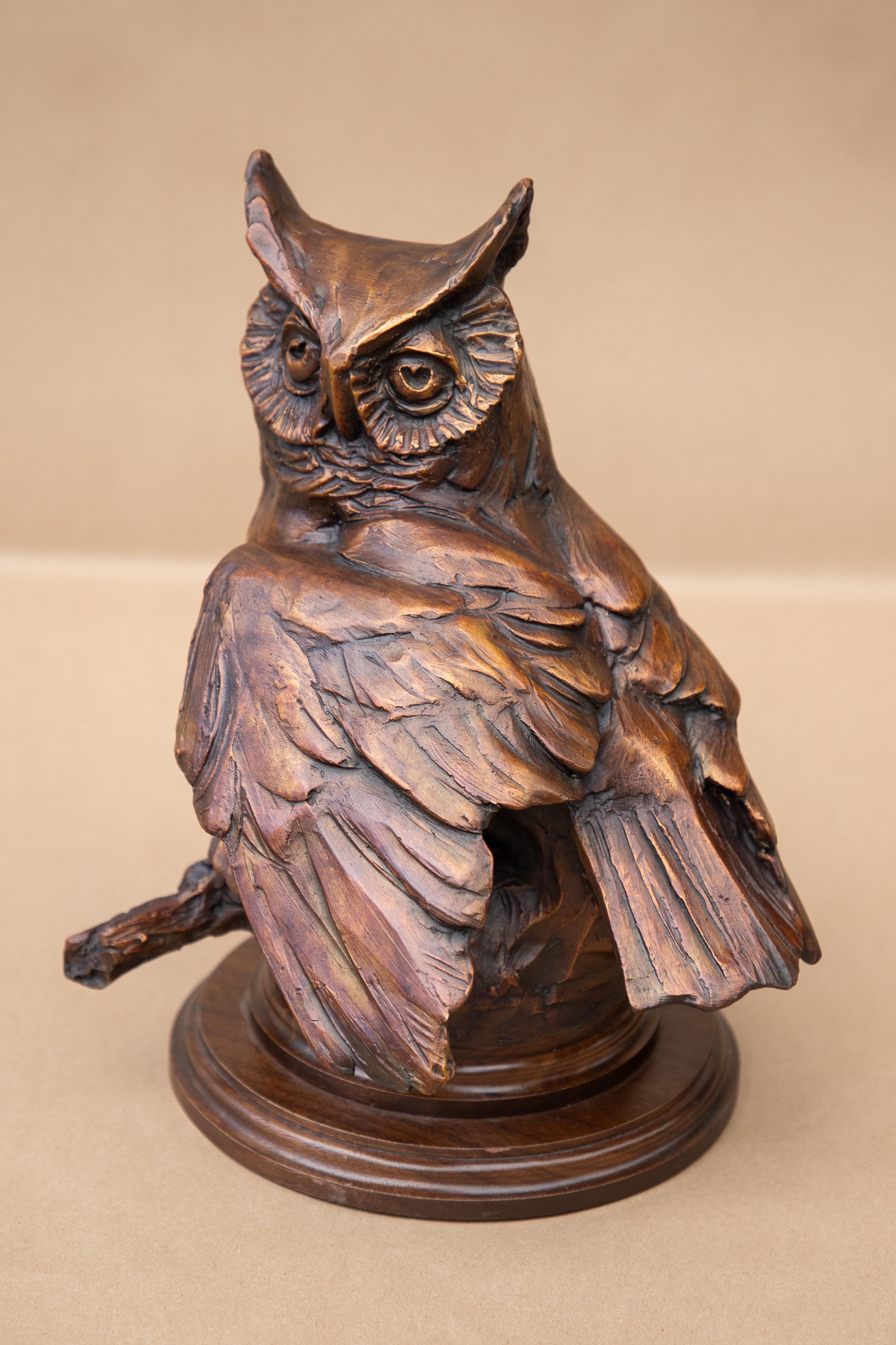Chouette effraie - Réalisme Sculpture par Sandy Scott