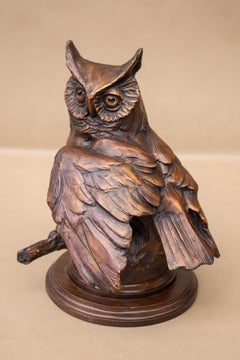 Screech Owl