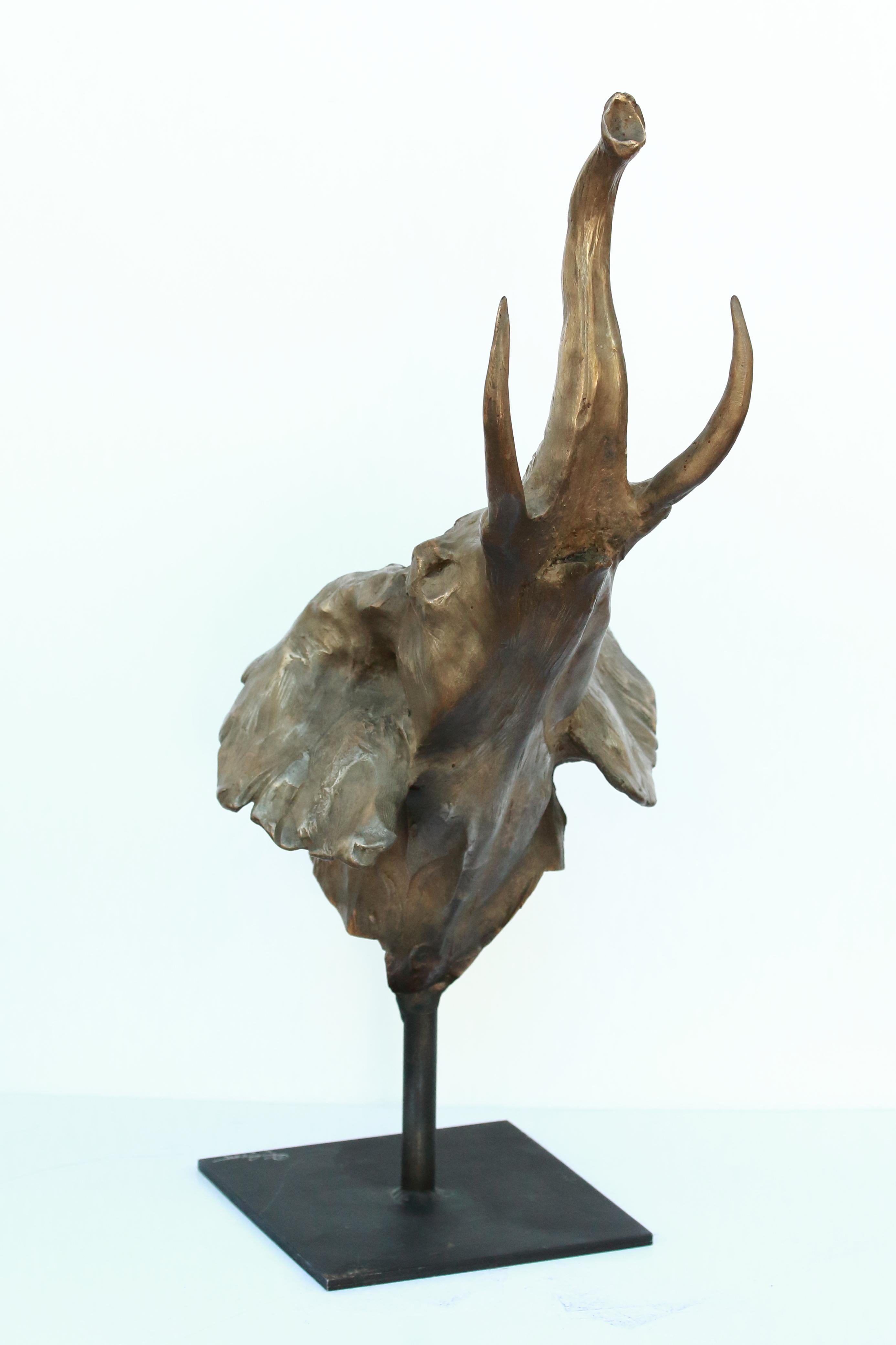 Trumpeting Elefantenstudie (Realismus), Sculpture, von Sandy Scott