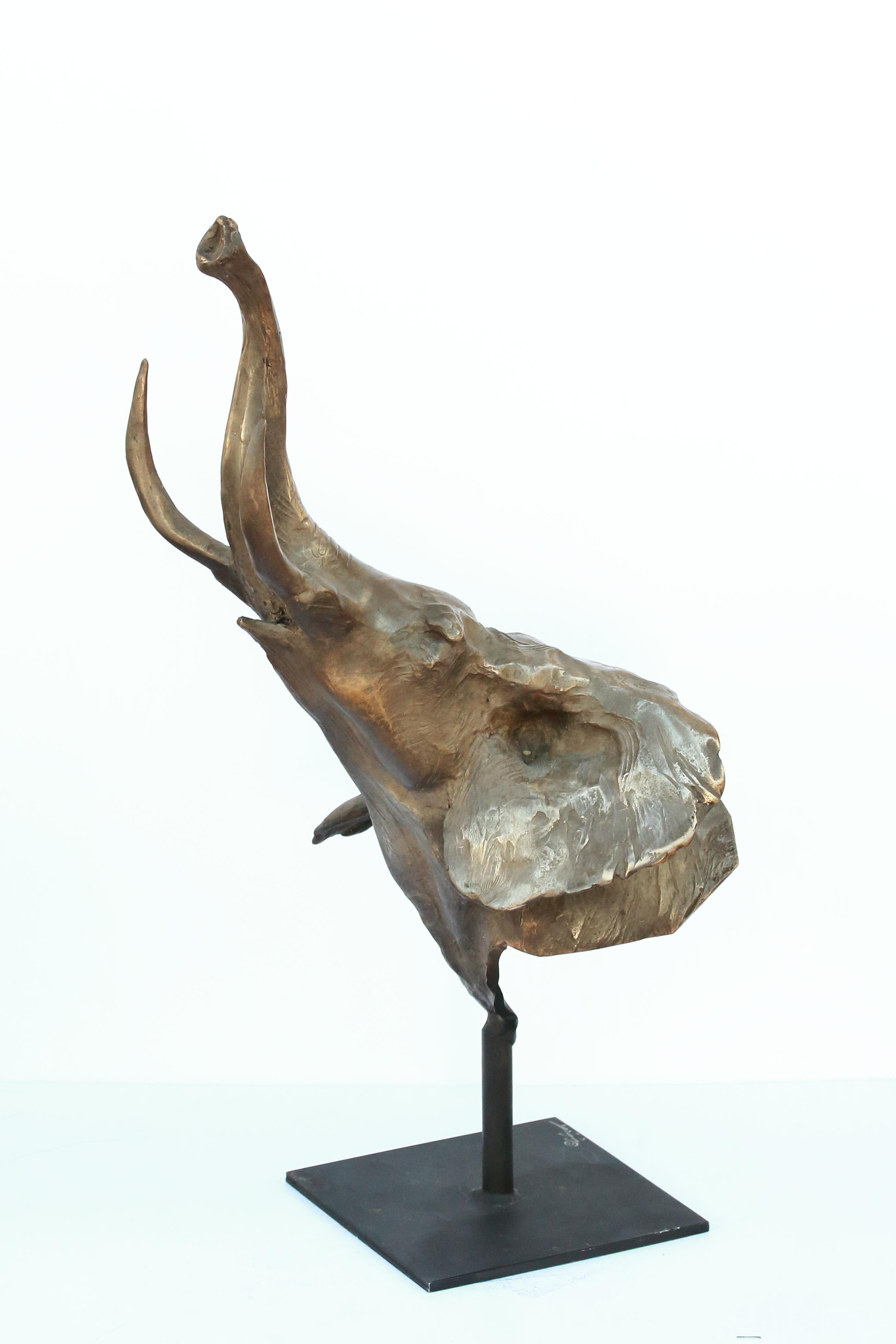 Trumpeting Elefantenstudie – Sculpture von Sandy Scott