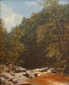 Roches et ruisseau dans les Catskills