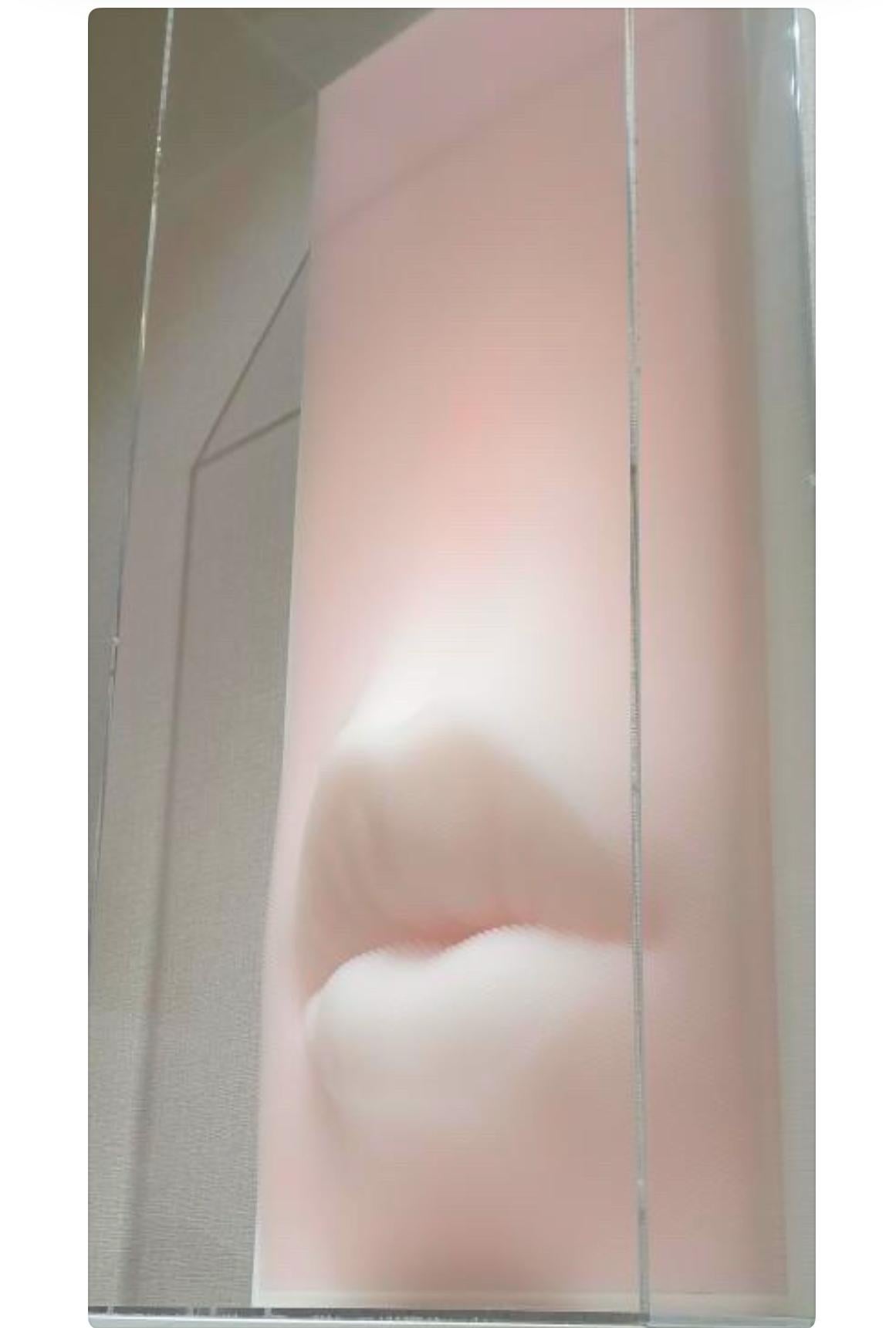 Sculpture murale contemporaine pop art en 3D rose foi Pailles, acrylique, plexiglas - Painting de Sangsik Hong