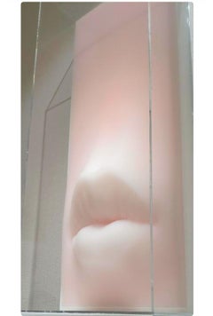 Zeitgenössische Pop-Art 3-D-Wandskulptur für Innenräume rosa Strohhalme, Acryl, Plexiglas