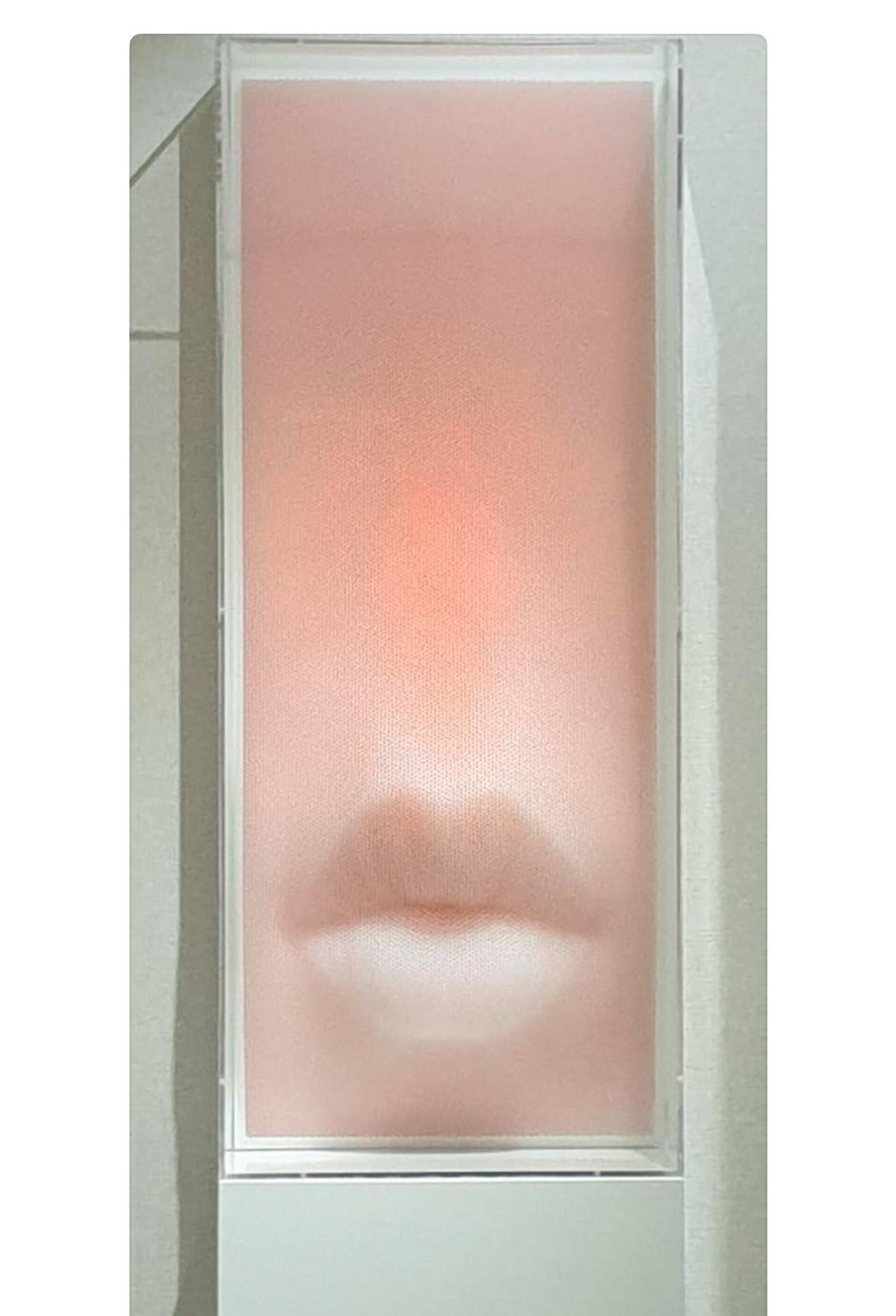 Sculpture murale contemporaine pop art en 3D rose foi Pailles, acrylique, plexiglas - Beige Portrait Painting par Sangsik Hong