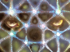 Indras Net, Mixed Media on Paper