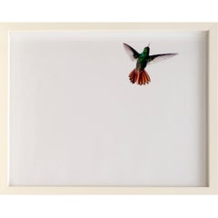 Sanna Kannisto, Act of Flying Portfolio 3 Framed C-Prints on Fujifilm Paper