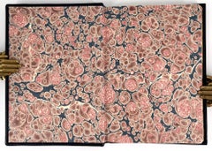 Sans Pudeur by Renée Camera, illustrations by Valti