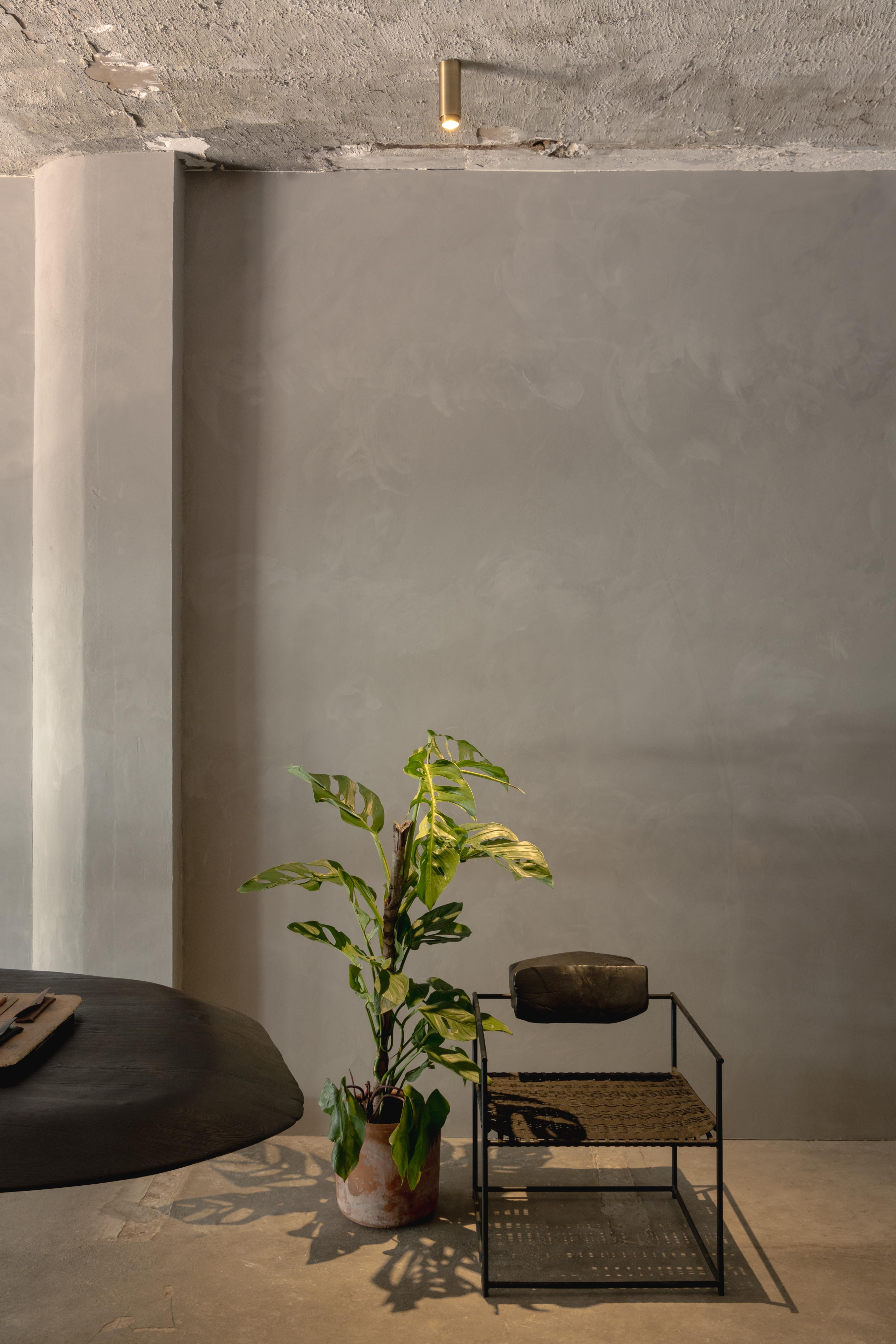 Santa 63 Surface-Mounted Downlight Lamp in Aged Brass by Nuumbra For Sale 1