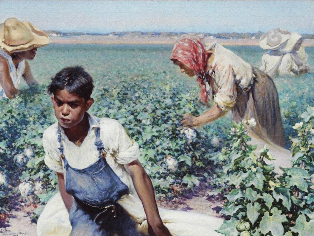 mexican picking cotton