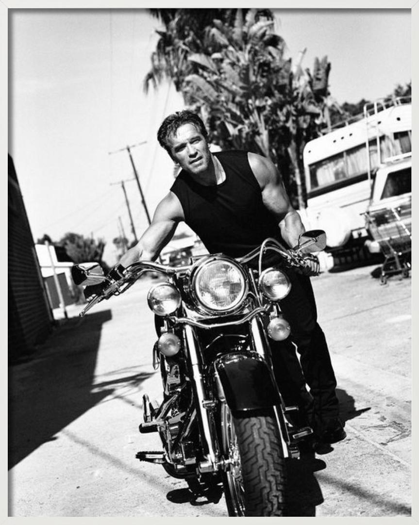 Arnold Schwarzenegger - Sur une moto, Diptych Fine Arts, 1999 en vente 5