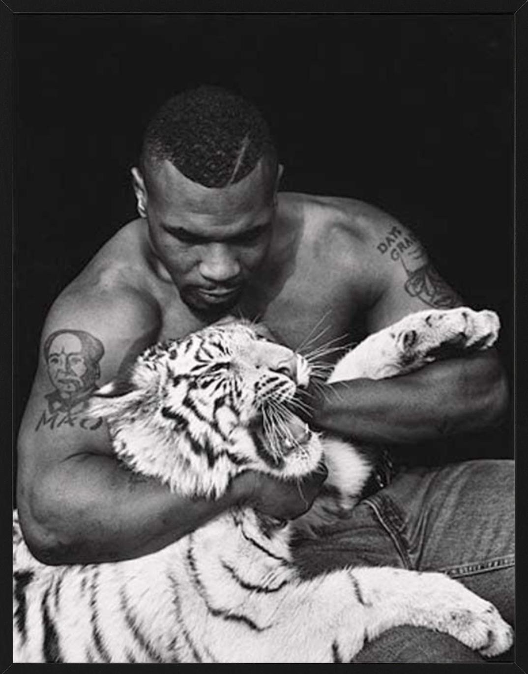 Mike Tyson, Vegas - the Boxer with a white Tiger cub, fine art photography, 1996 - Photograph by Sante D´ Orazio