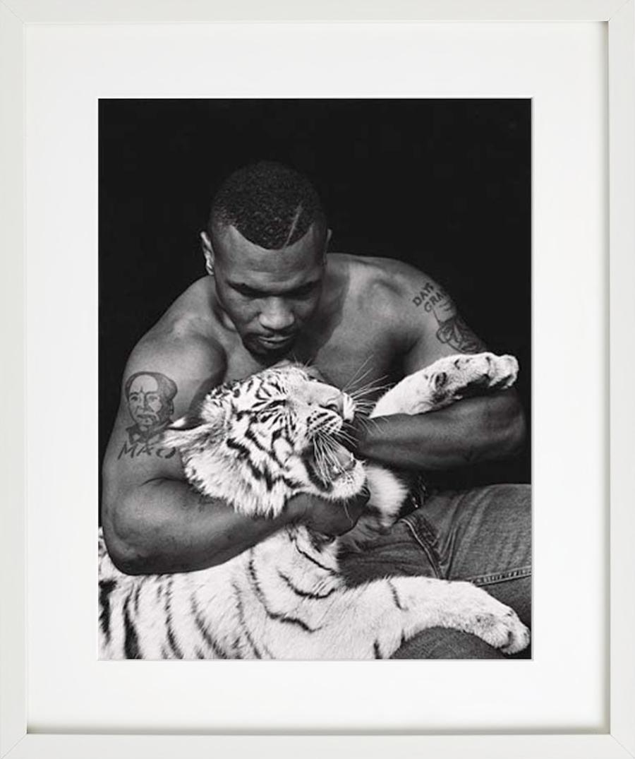 Der legendäre Boxer Mike Tyson im Würgegriff eines weißen Tigers, Los Angeles, fotografiert von Sante D'Orazio 1996.

Alle Drucke sind in limitierter Auflage erhältlich. Erhältlich in mehreren Größen. Hochwertige Einrahmung auf Anfrage.

Alle Drucke
