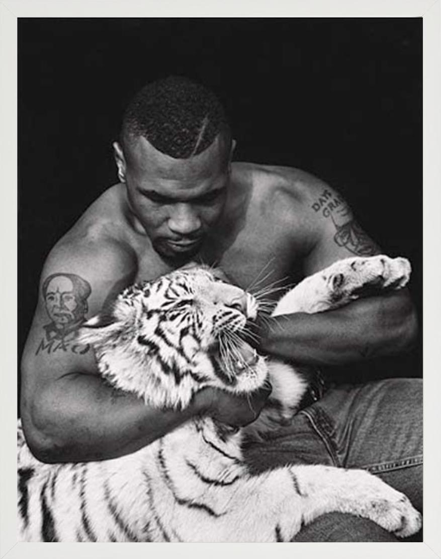 Mike Tyson, Vegas - the Boxer with a white Tiger cub, fine art photography, 1996 - Contemporary Photograph by Sante D´ Orazio