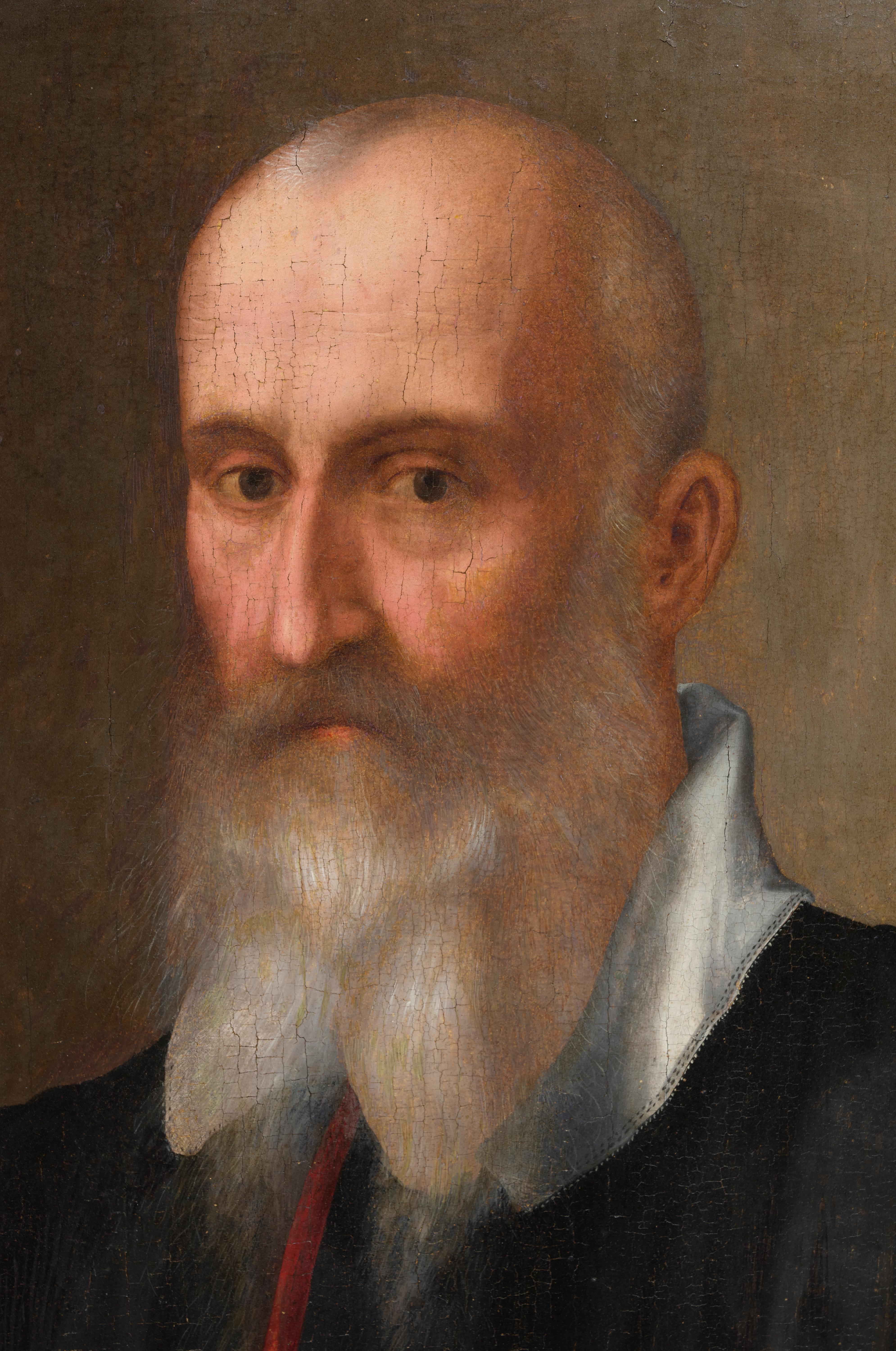 Portrait of Senator Bartolomeo Panciatichi by Santi di Tito (1574) For Sale 8