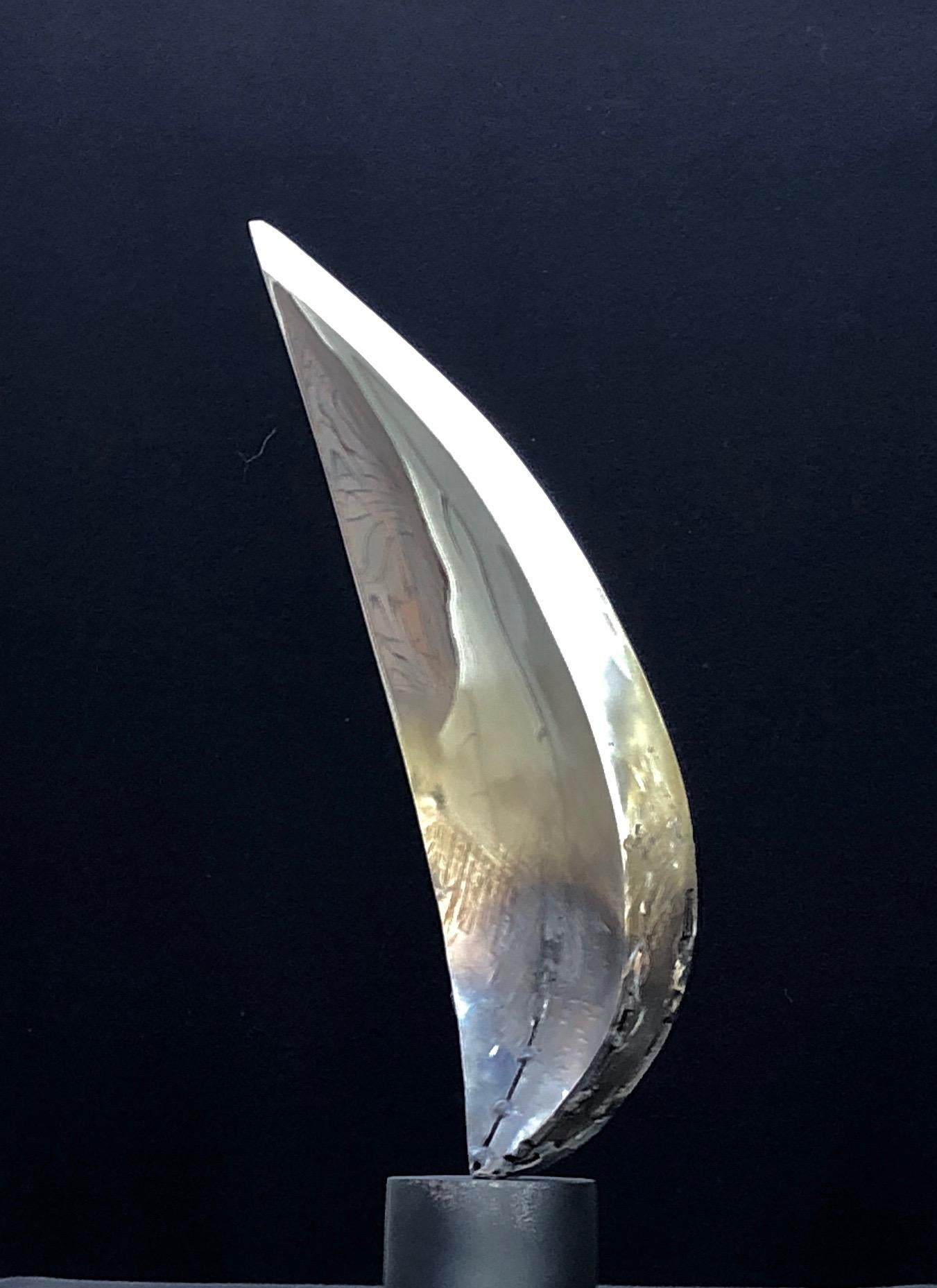 Santiago Medina - FLAME OF GENESIS, Sculpture 2020 For Sale 2