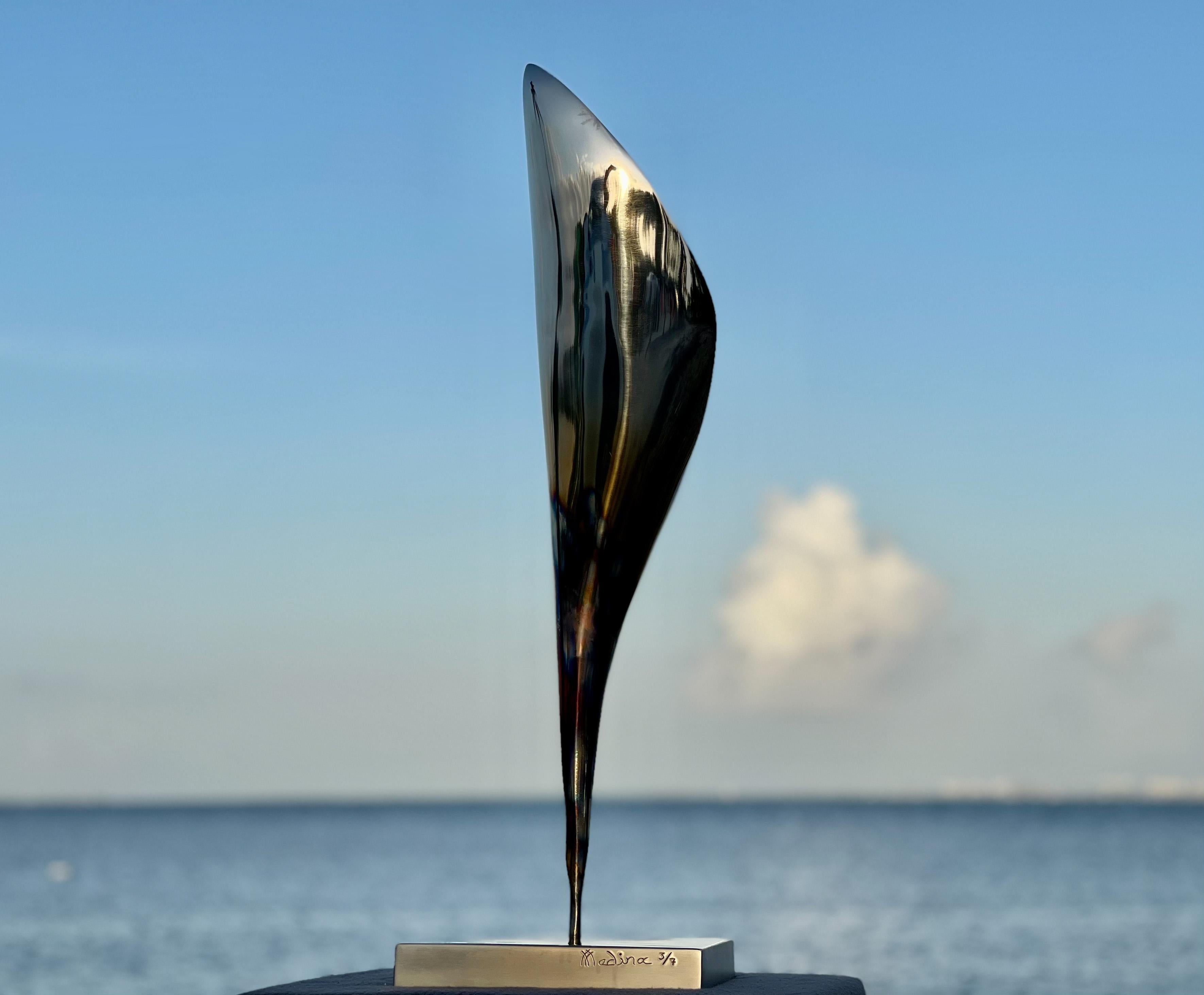 Santiago Medina - INNER STRENGTH (OUTDOOR MONUMENTAL), Photographie 2021 en vente 1