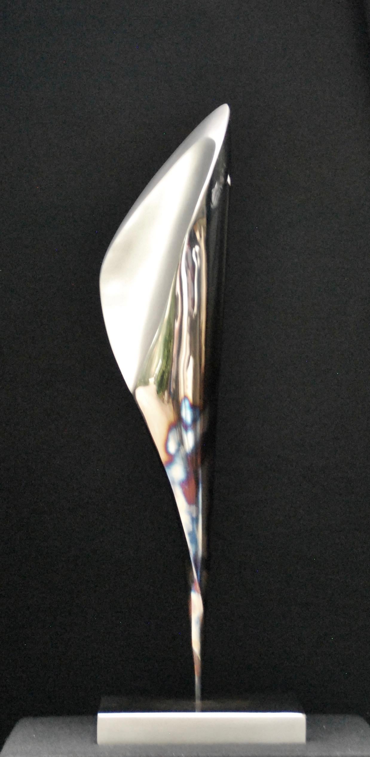 Santiago Medina - FORCE INTÉRIEURE (TABLE), Sculpture 2022 en vente 1