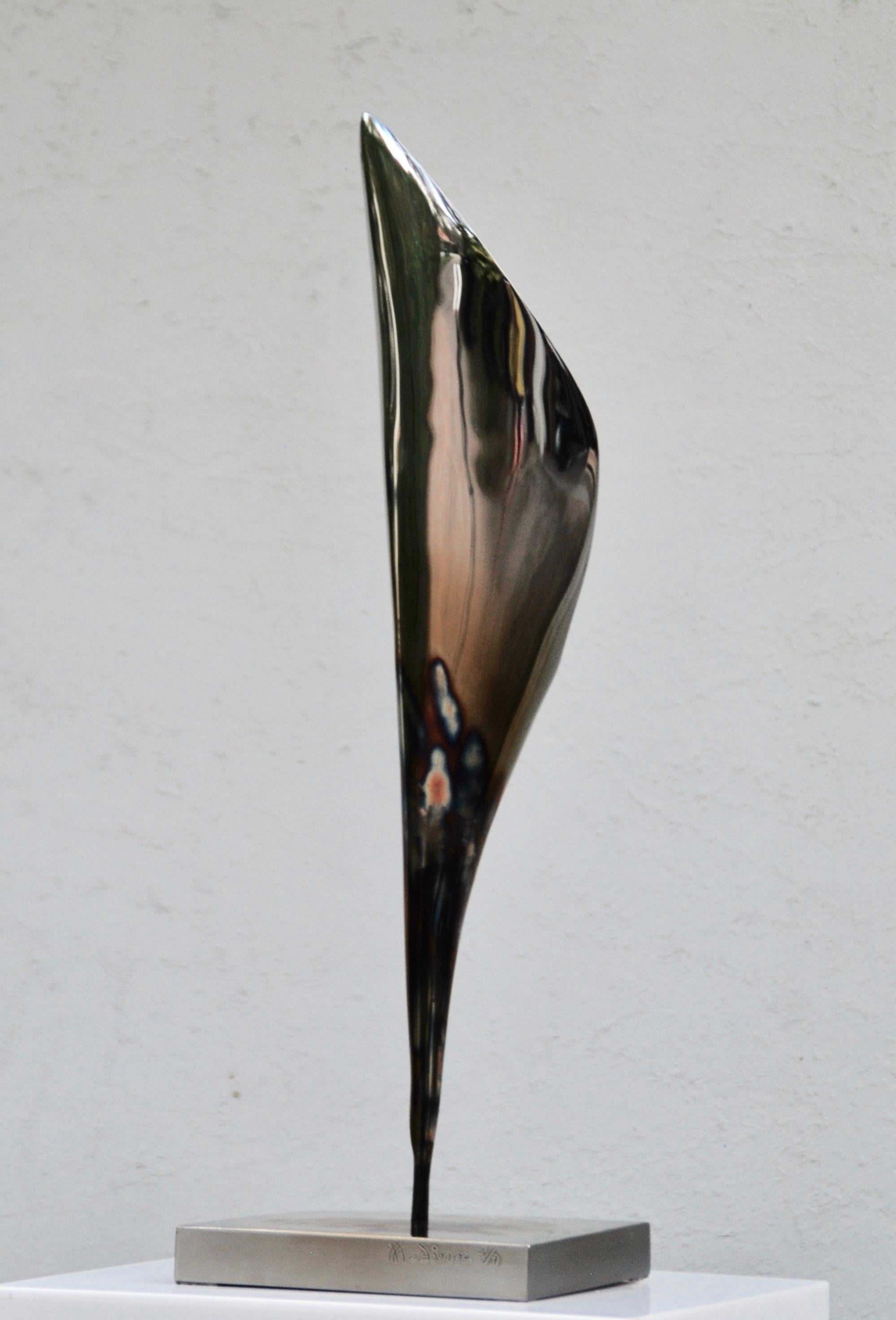 Acier inoxydable italien avec patine spéciale haute température.

Les sculptures italiennes en acier inoxydable de Santiago Medina se trouvent dans des lieux d'art public de premier plan dans le monde entier, tels que Harvard, l'université de