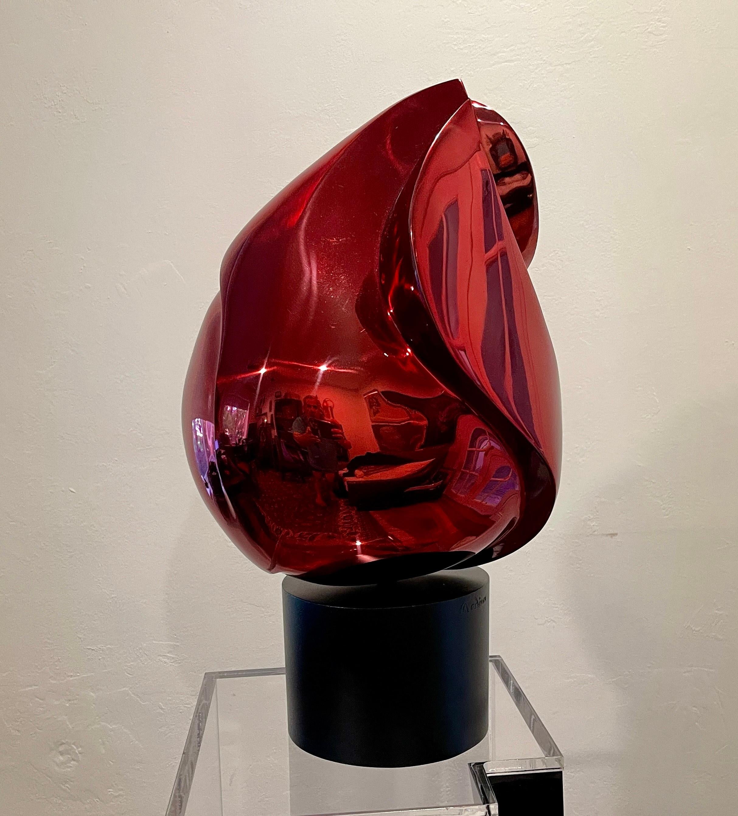 Edici�ón de 7
Las esculturas italianas de acero inoxidable del escultor Santiago Medina se encuentran en lugares de arte público de primera línea de todo el mundo, como Harvard, la Universidad de Stanford, la Ciudad de Miami-Pinecrest Circle, Tufts,