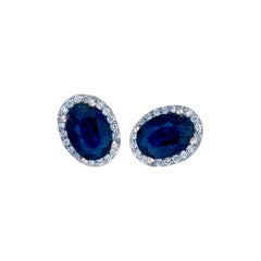 Sapphire and Diamond 2.20 Carat, Halo Martini Style Earrings