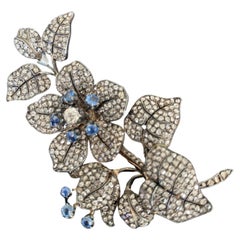 Broches - Saphir