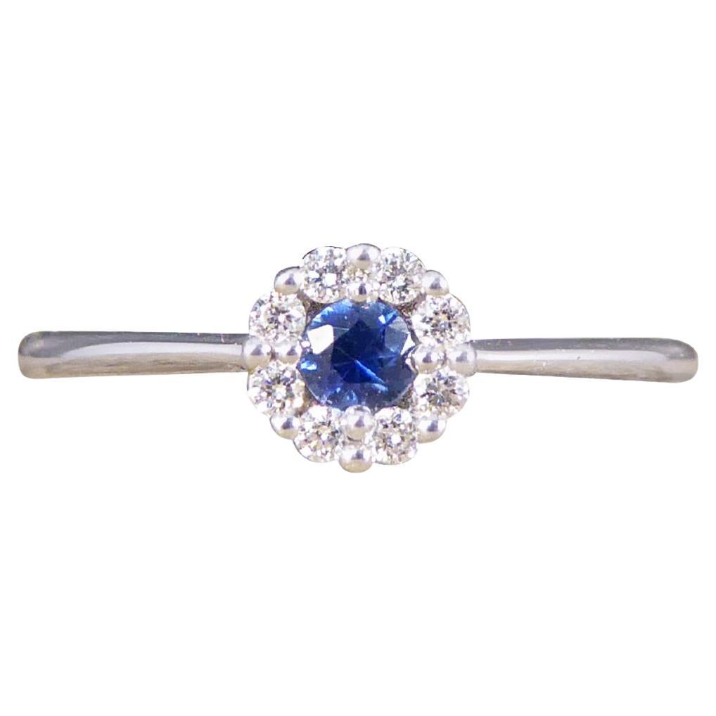 Sapphire and Diamond Circular Cluster Ring in 18 Carat White Gold For Sale