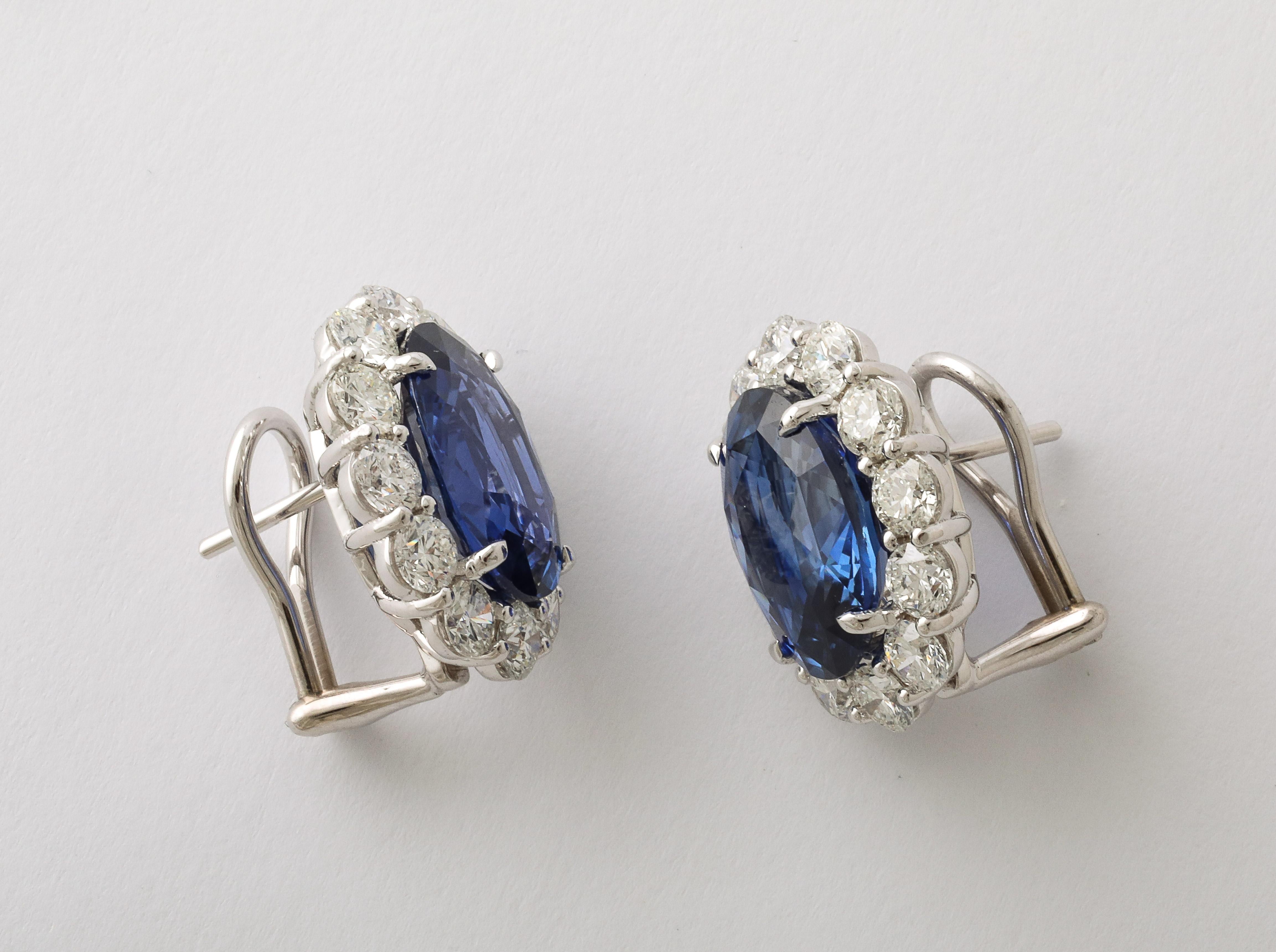 
Une élégante paire de boucles d'oreilles intemporelles en saphir et diamant. 

14,70 carats de saphirs bleus de Ceylan ovales certifiés. 

4,20 carats de diamants blancs ronds de taille brillant 

Monture en platine sur mesure. 

Certifié par