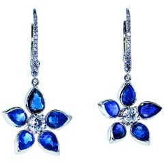 Sapphire and Diamond Earrings, Pierre/Famille