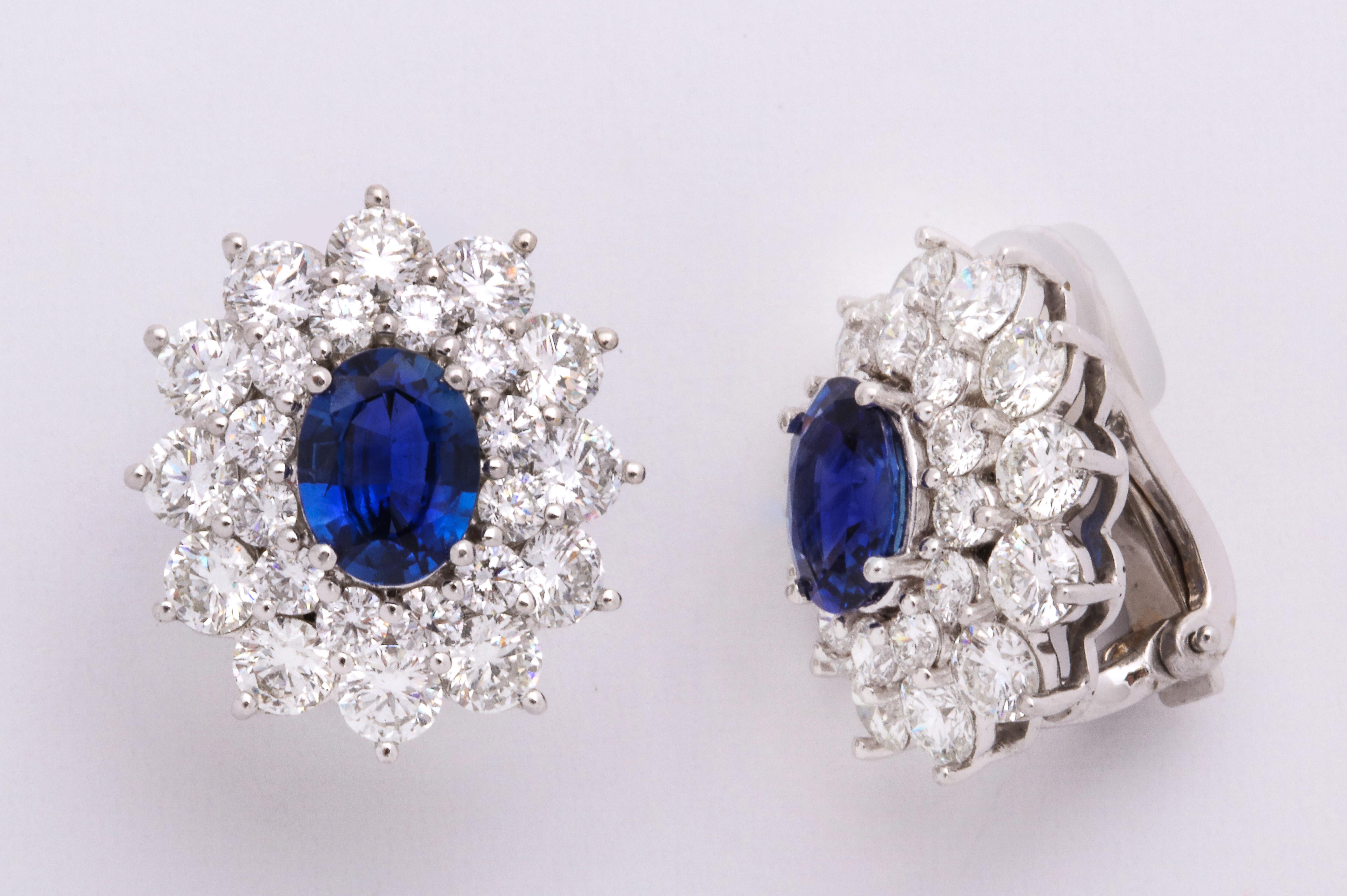 Timeless oval faceted Ceylon sapphires: 2.87 carats, mounted on platinum ear clip earrings decorated with a double row of round, brilliant-cut colorless diamonds, prong-set: 5.47 carats. Balanced and symmetrical!
These earrings are fitted with
