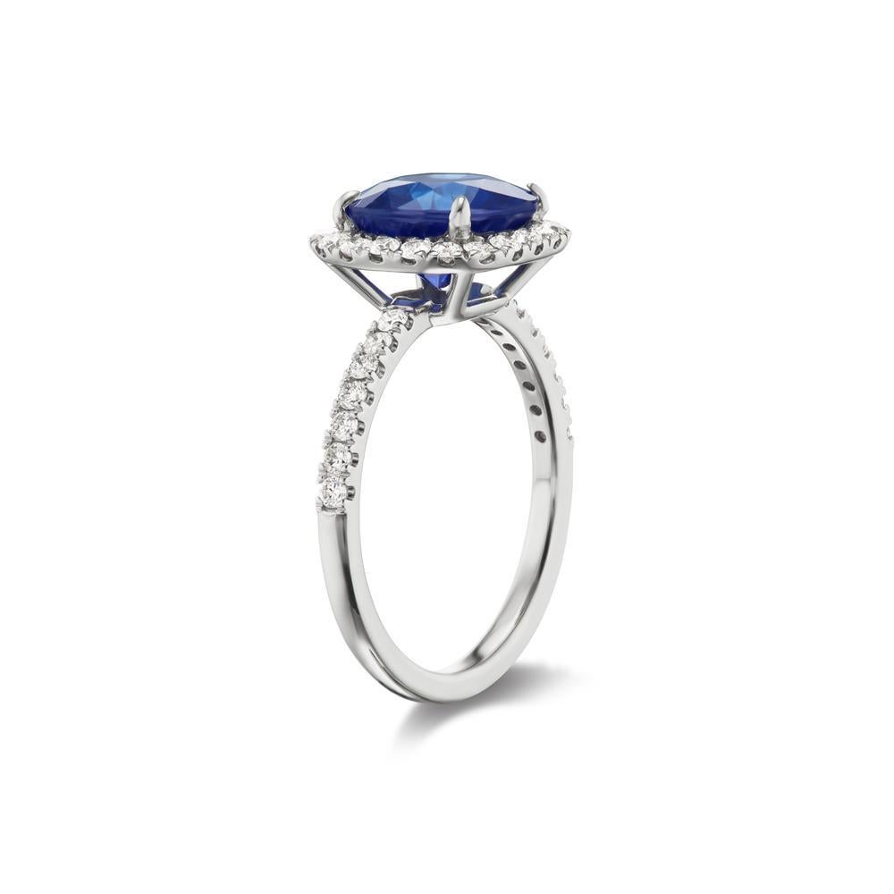 SAPPHIRE AND DIAMOND RING
A dazzling blue sapphire in a prong setting is surrounded by a
glimmering diamond halo. The shoulders of the ring are adorned with
diamond accents for added sparkle. Crafted in 14k white gold, this round
sapphire halo is